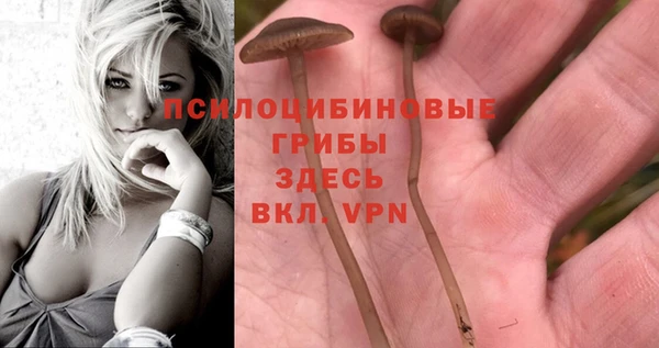 гашишное масло Алексеевка