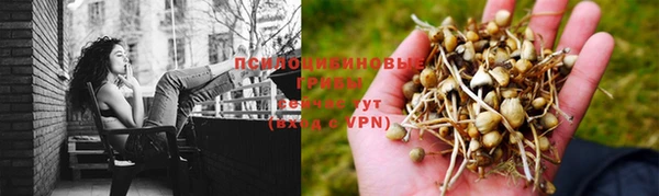 дурь Алзамай