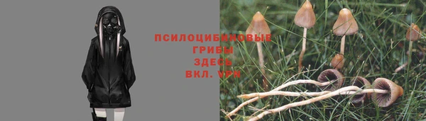 гашишное масло Алексеевка
