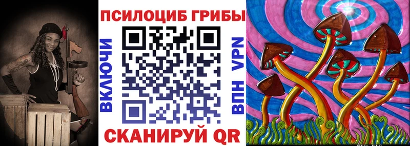 цена наркотик Сосновка Галлюциногенные грибы Psilocybine cubensis